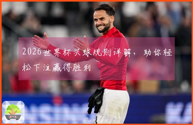 2026世界杯买球规则详解，助你轻松下注赢得胜利