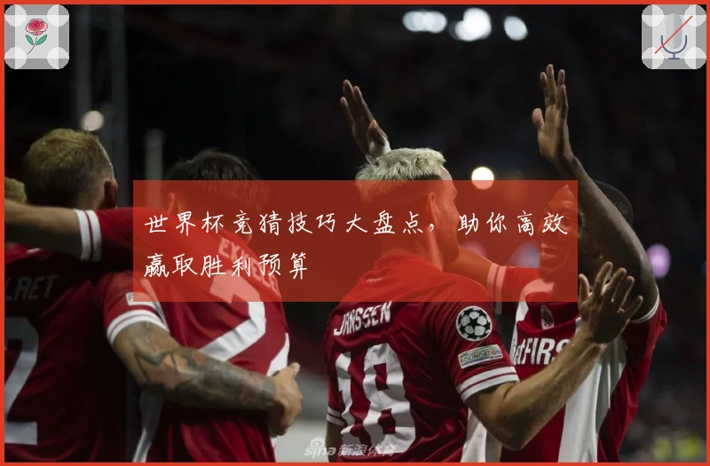 世界杯竞猜技巧大盘点，助你高效赢取胜利预算