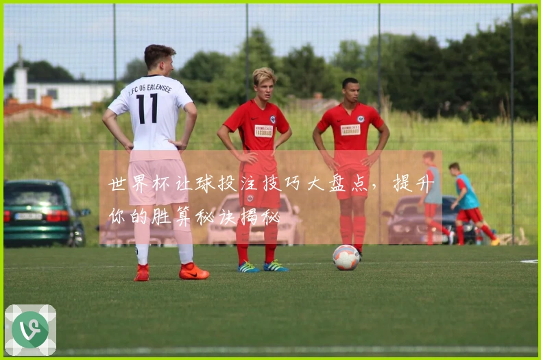 世界杯让球投注技巧大盘点，提升你的胜算秘诀揭秘