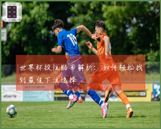 世界杯投注赔率解析：如何轻松找到最佳下注选择