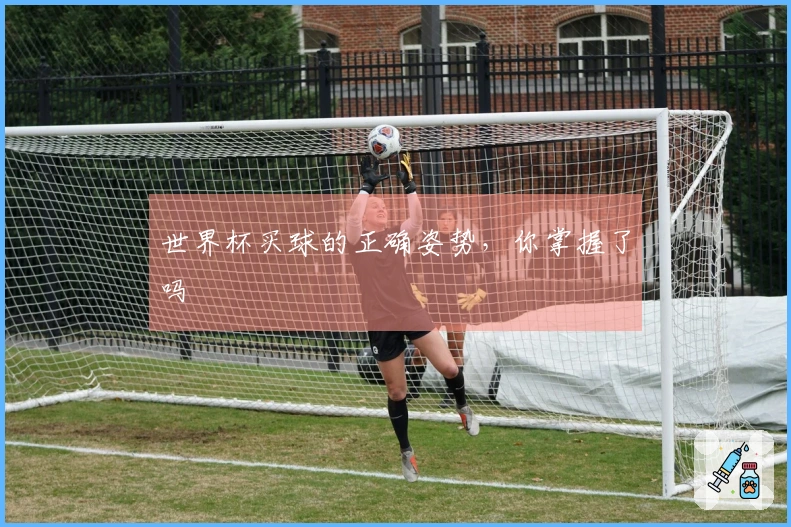 世界杯买球的正确姿势，你掌握了吗