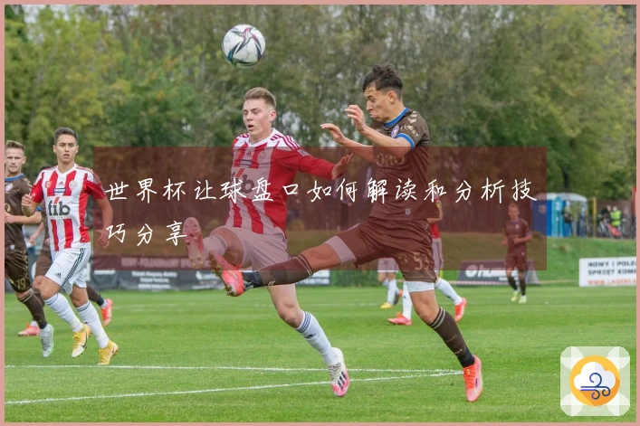 世界杯让球盘口如何解读和分析技巧分享