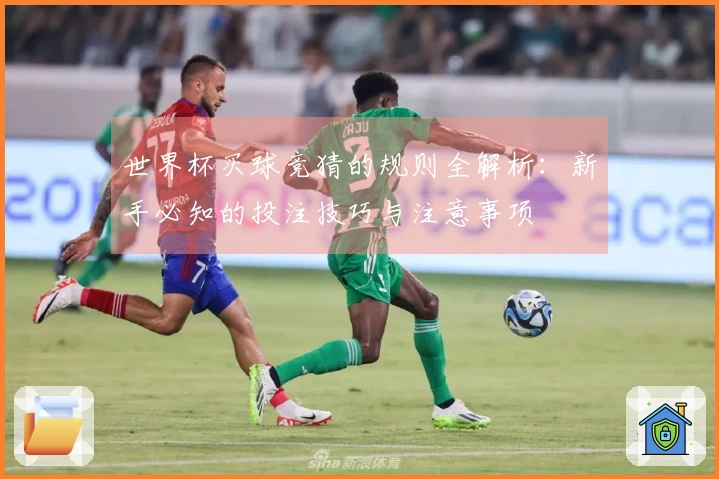 世界杯买球竞猜的规则全解析：新手必知的投注技巧与注意事项