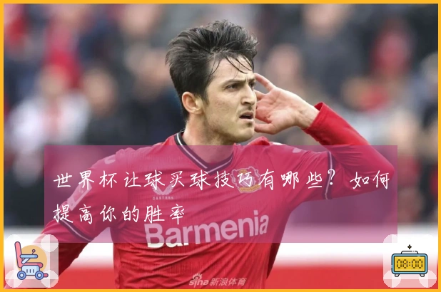 世界杯让球买球技巧有哪些？如何提高你的胜率