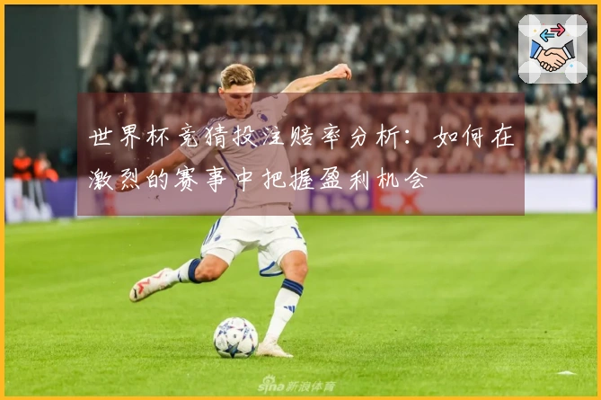 世界杯竞猜投注赔率分析：如何在激烈的赛事中把握盈利机会