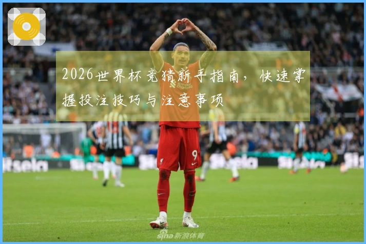2026世界杯竞猜新手指南，快速掌握投注技巧与注意事项