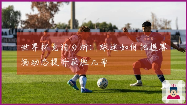 世界杯竞猜分析：球迷如何把握赛场动态提升获胜几率