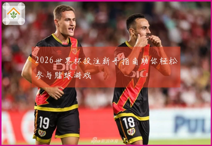 2026世界杯投注新手指南助你轻松参与赌球游戏